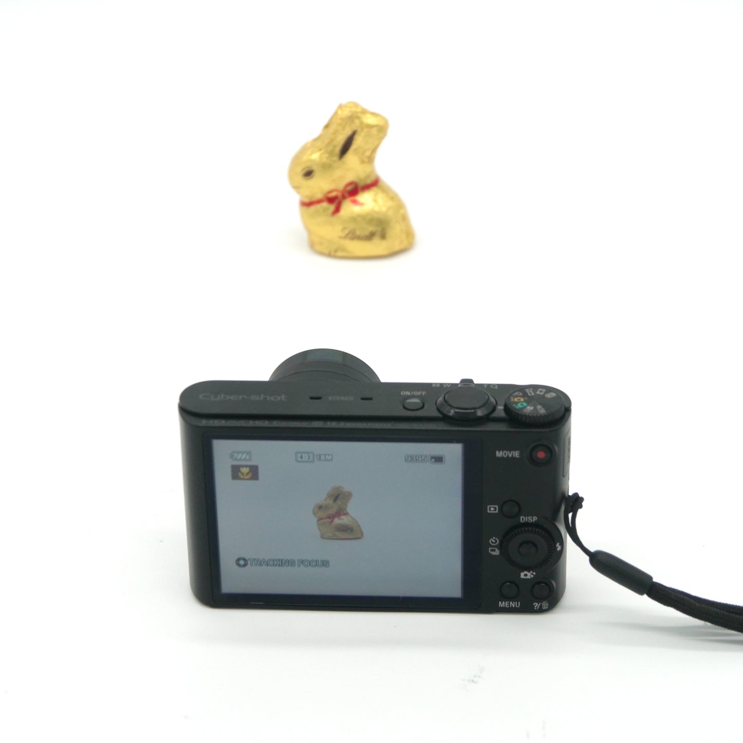 Sony Cyber-shot WX300 Y2K Digicam (Black)