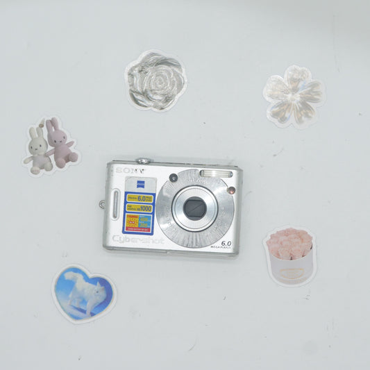 Sony Cyber-shot W30 6MP Y2K Digicam (Silver)