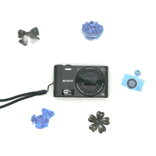 Sony Cyber-shot WX300 Y2K Digicam (Black)